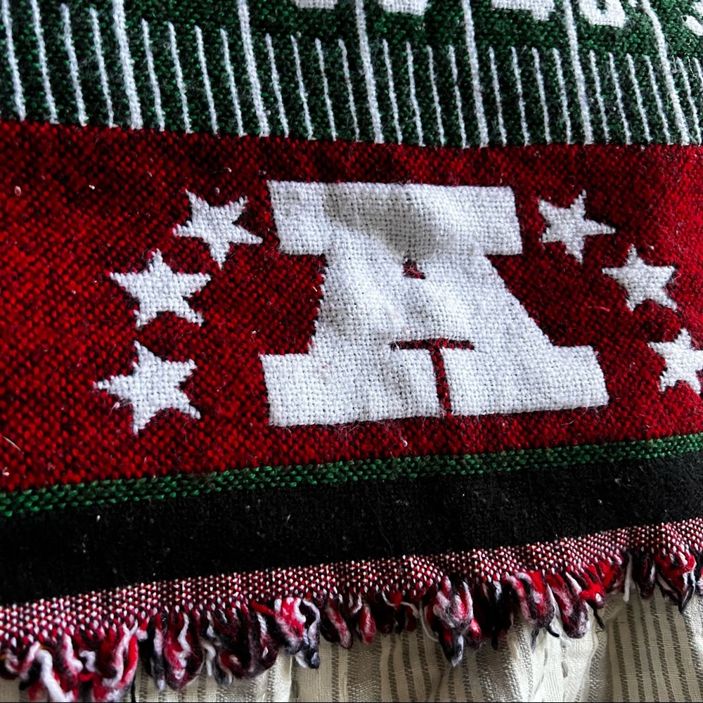 Campbells Chunky Super Bowl XL decorative blanket gridiron NFL AFC NFC - Picture 3 of 5